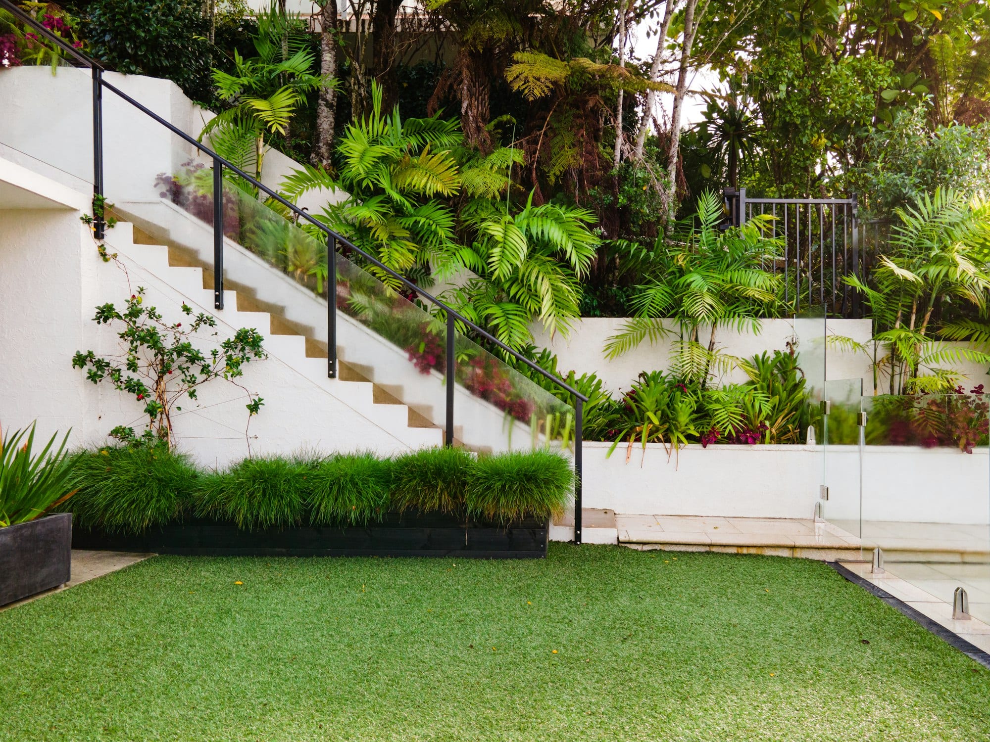 Jardin contemporain aménagé avec escalier et plantes