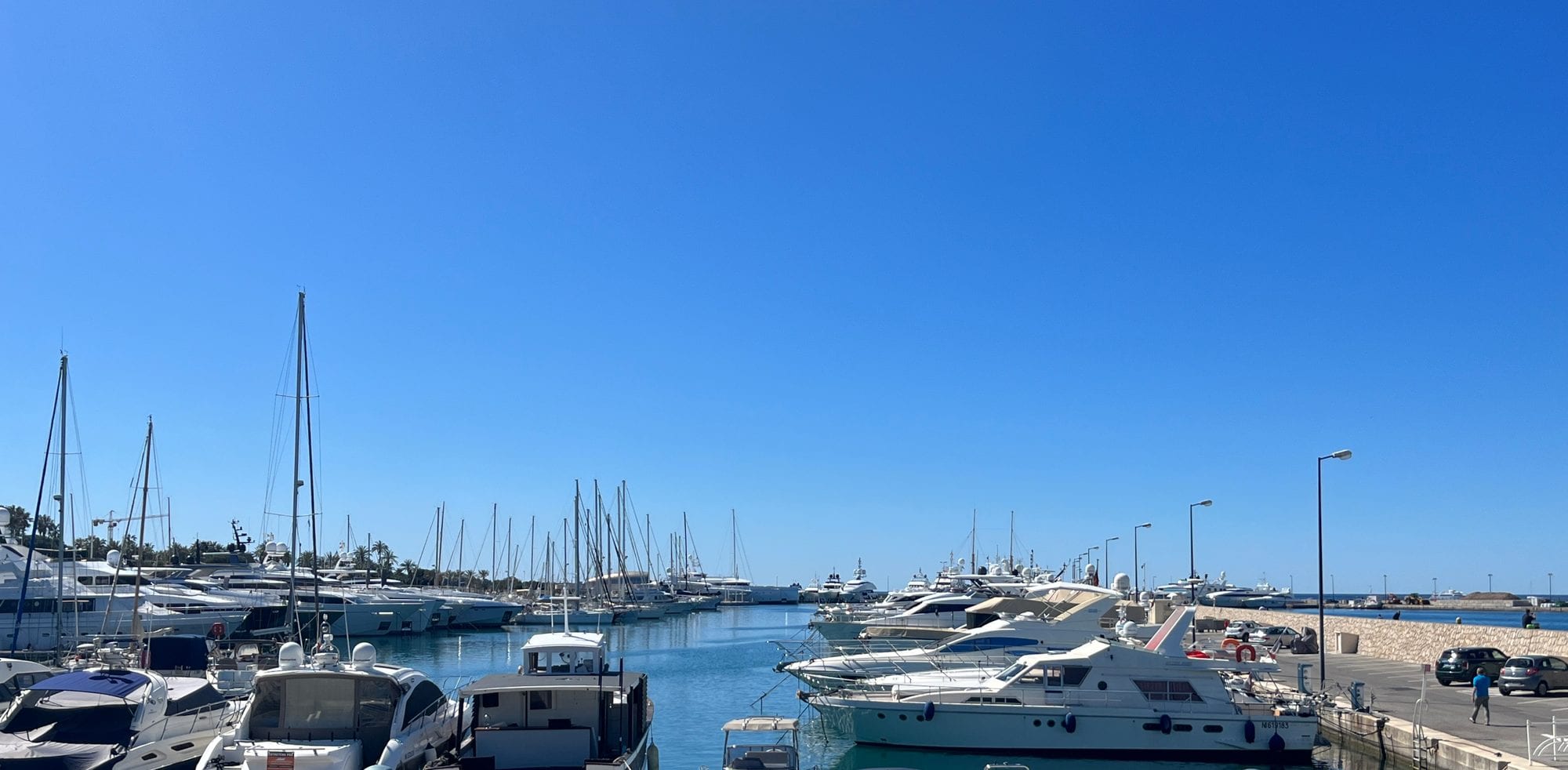 Le port de Cannes