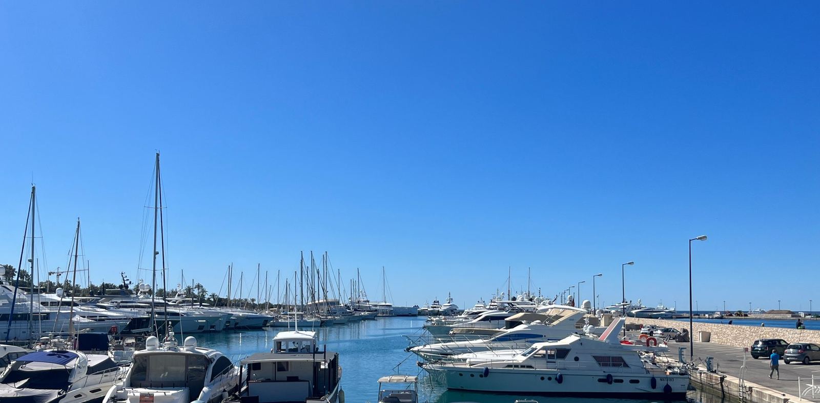 Le port de Cannes